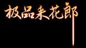 极品采花郎全息投影
